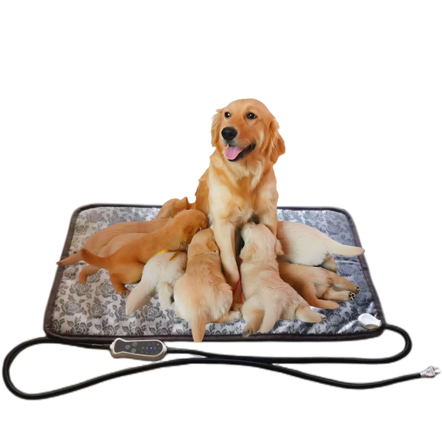 SnuggleSafe™ Heated Pet Pad – Floral Edition (Large)