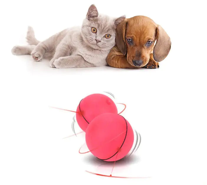 Pounce 'n Roll Laser Ball