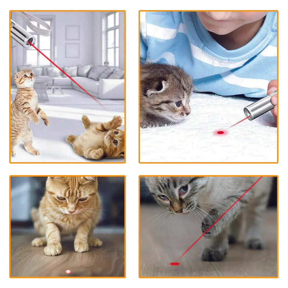 ZoomieBeam Cat Laser Toy