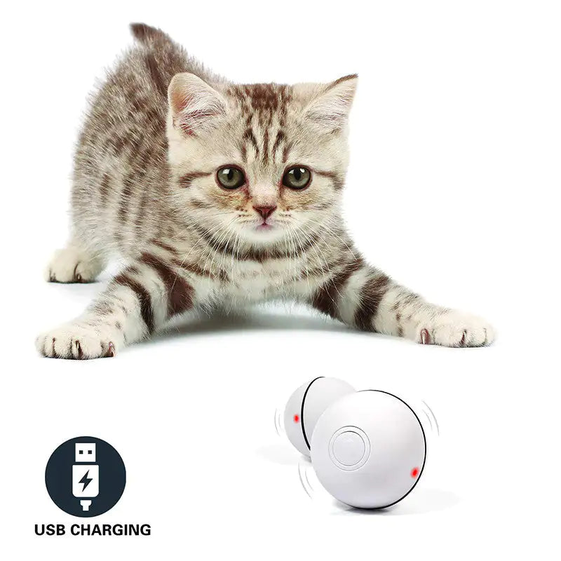 Pounce 'n Roll Laser Ball